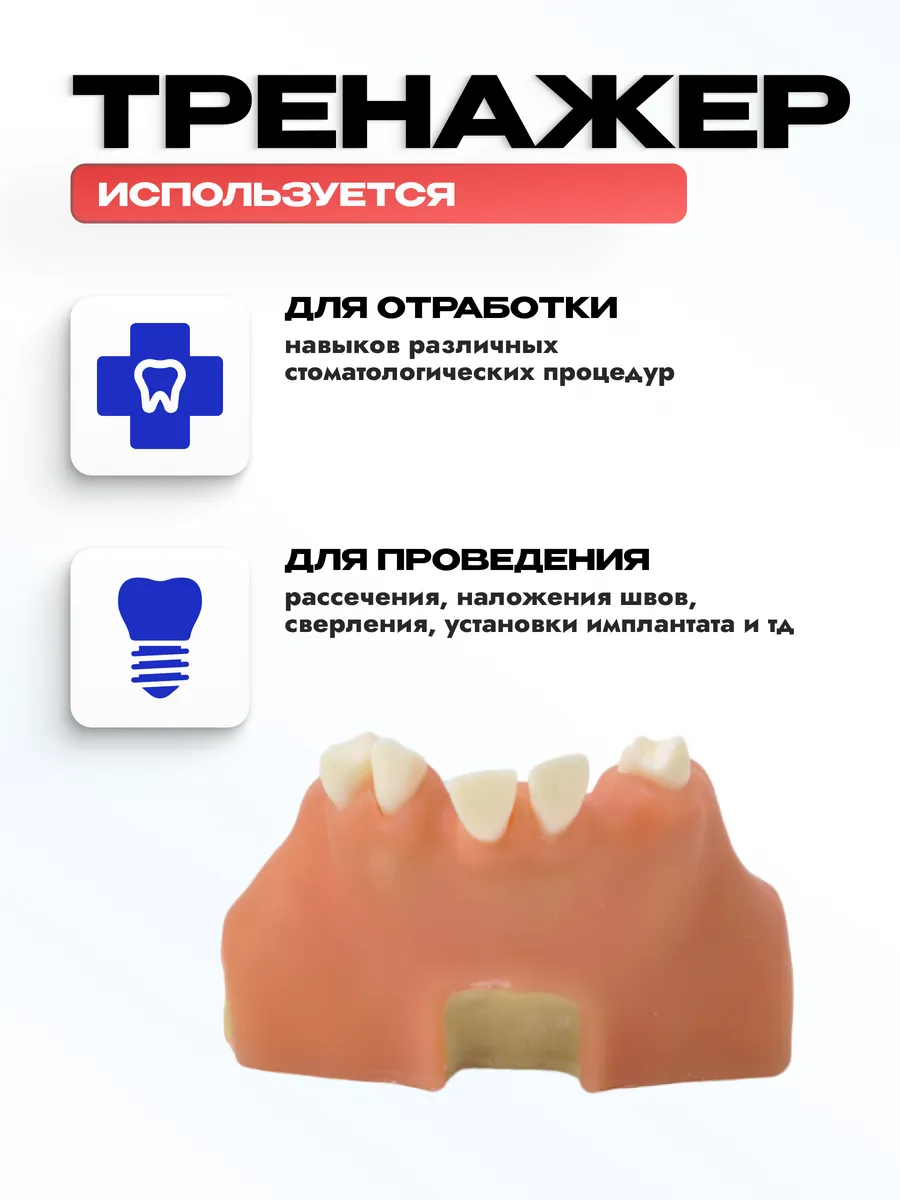 Модель верхней челюсти для имплантологического тренинга