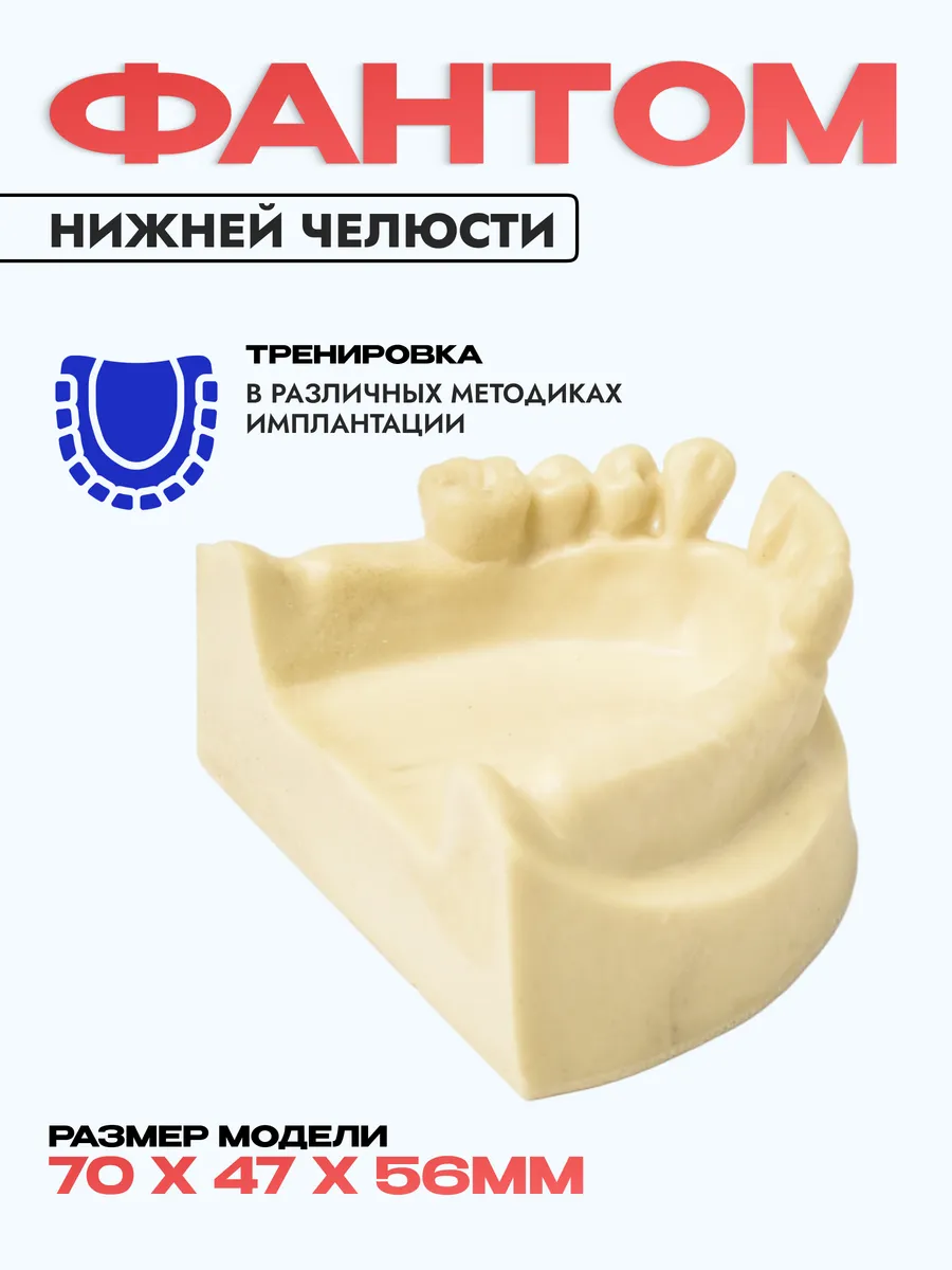 Модель нижней челюсти для имплантации