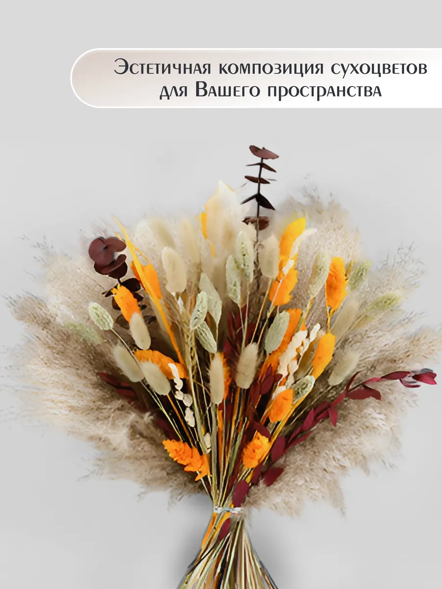 Сухоцветы букет для декора и интерьера натуральные сухие