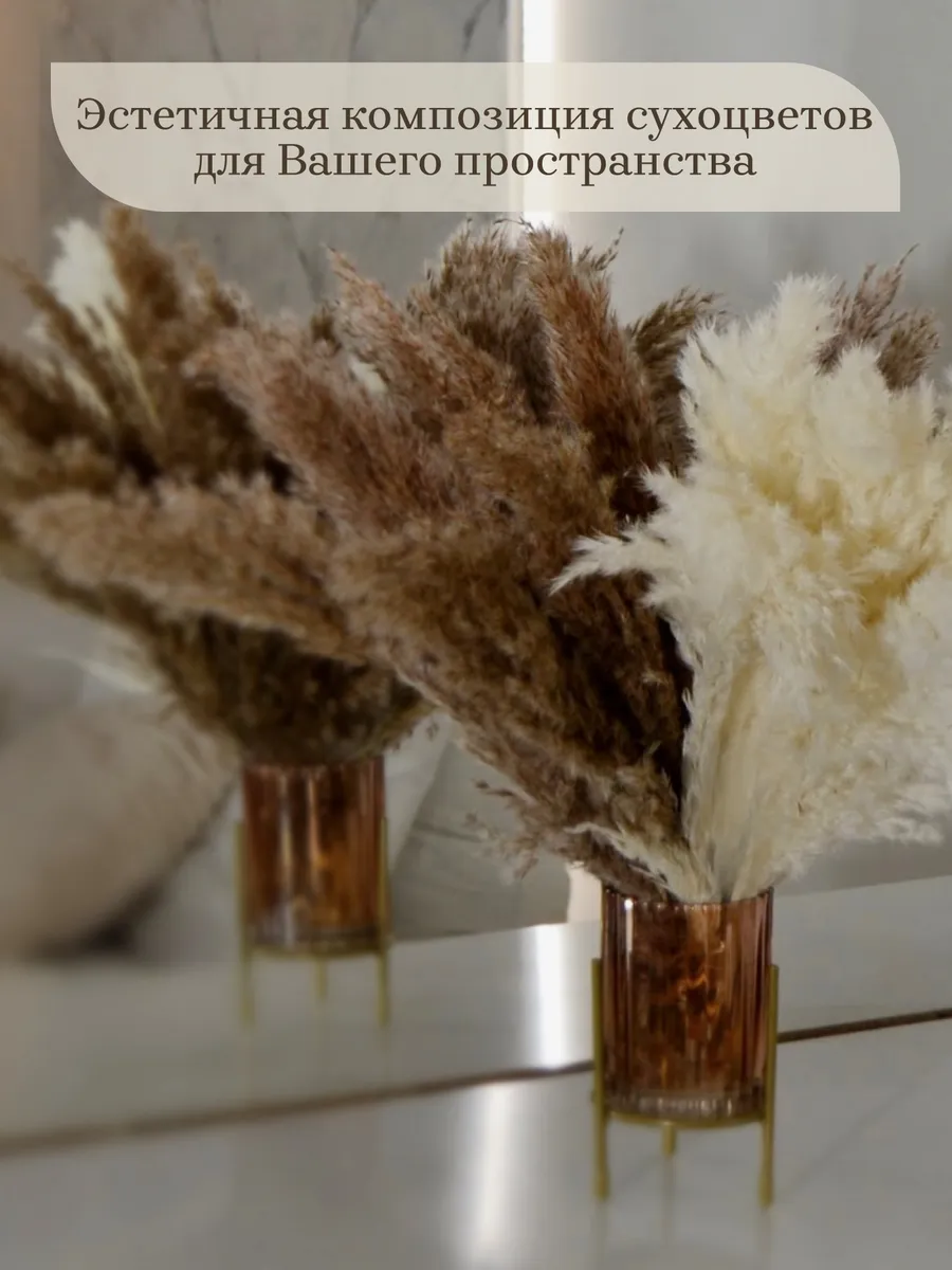 сухоцветы для декора пампасная трава