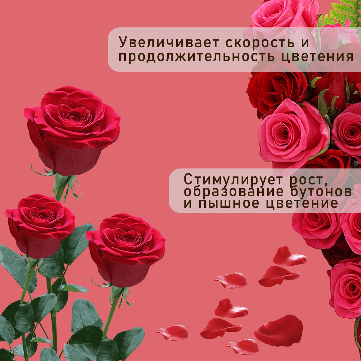 Комплексное удобрение "Находка" для цветов - удобрение для роз садовых и комнатных , концетрат для раствора на 250 литров