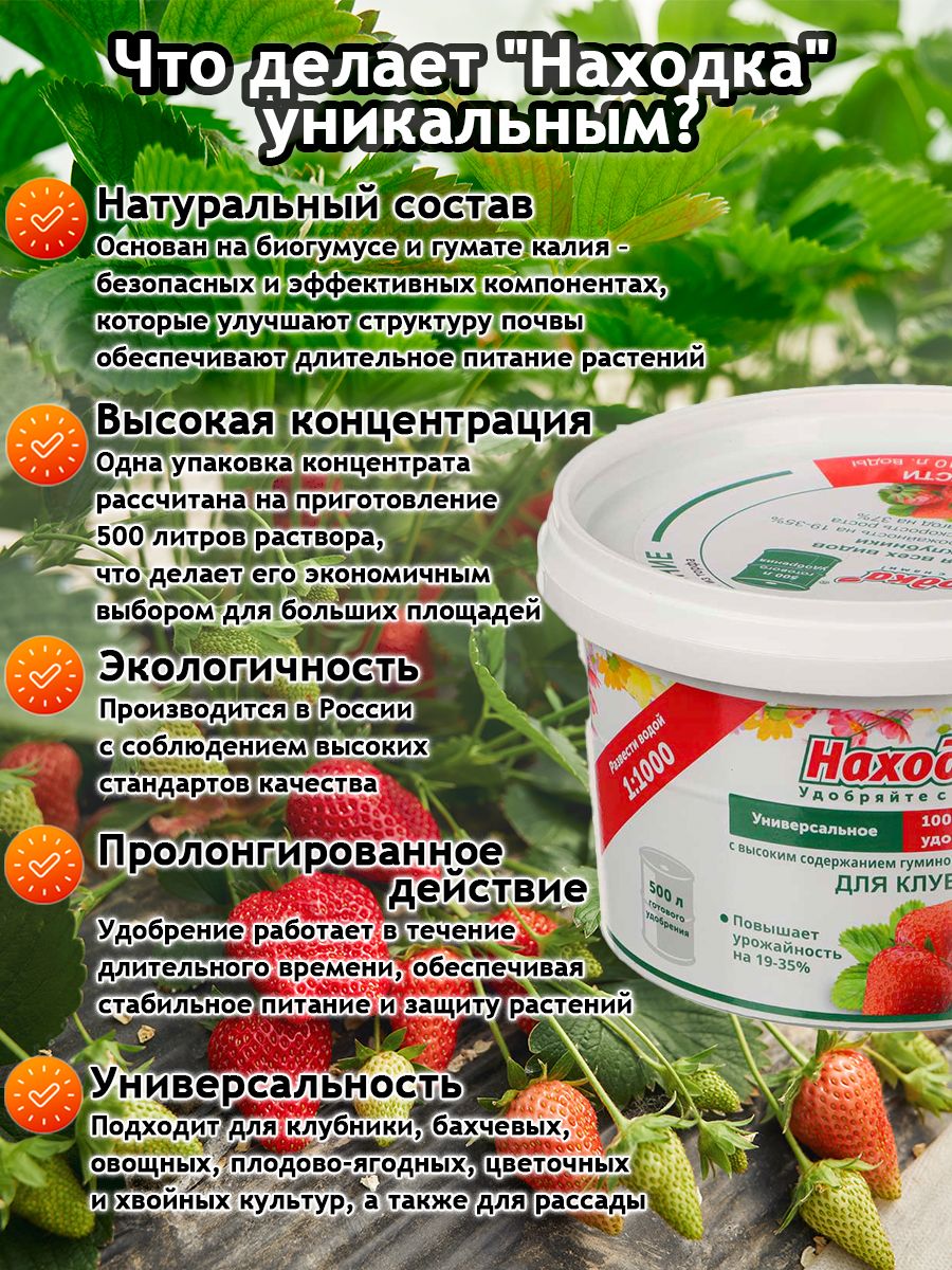 Удобрение "Находка" концентрат для клубники из торфа на основе гуминовых кислот на 500 литров раствораконцентрат для клубники на 500 литров