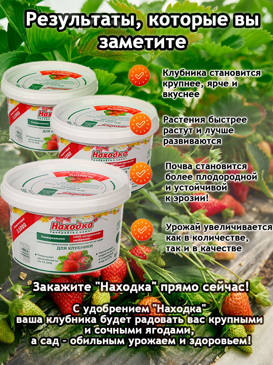 Удобрение "Находка" концентрат для клубники из торфа на основе гуминовых кислот на 500 литров раствораконцентрат для клубники на 500 литров