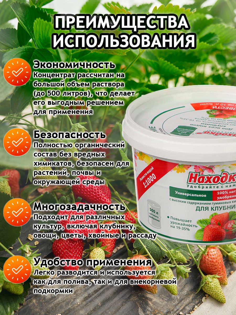 Удобрение "Находка" концентрат для клубники из торфа на основе гуминовых кислот на 500 литров раствораконцентрат для клубники на 500 литров