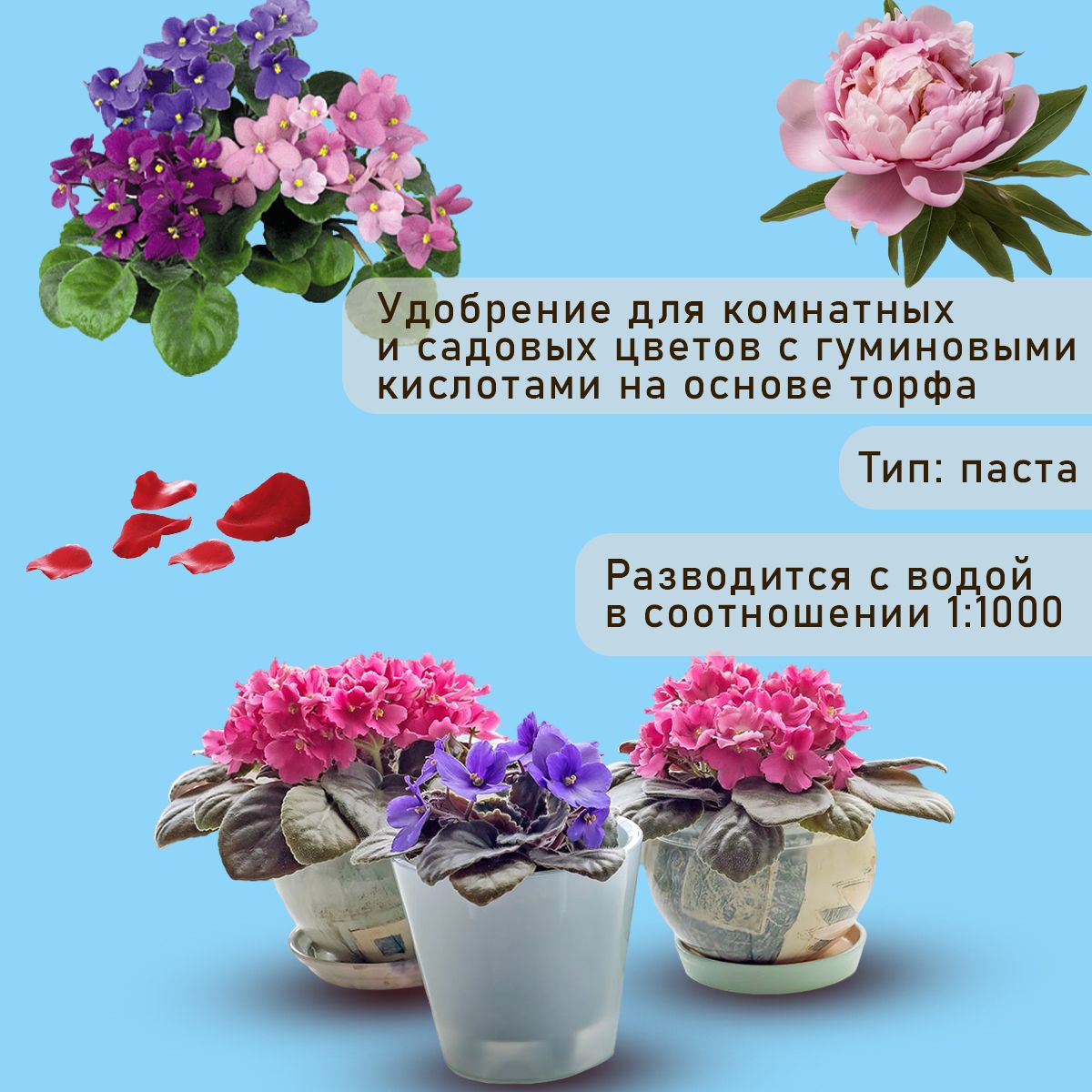 Удобрение для комнатных растений - аминокислоты для цветов
