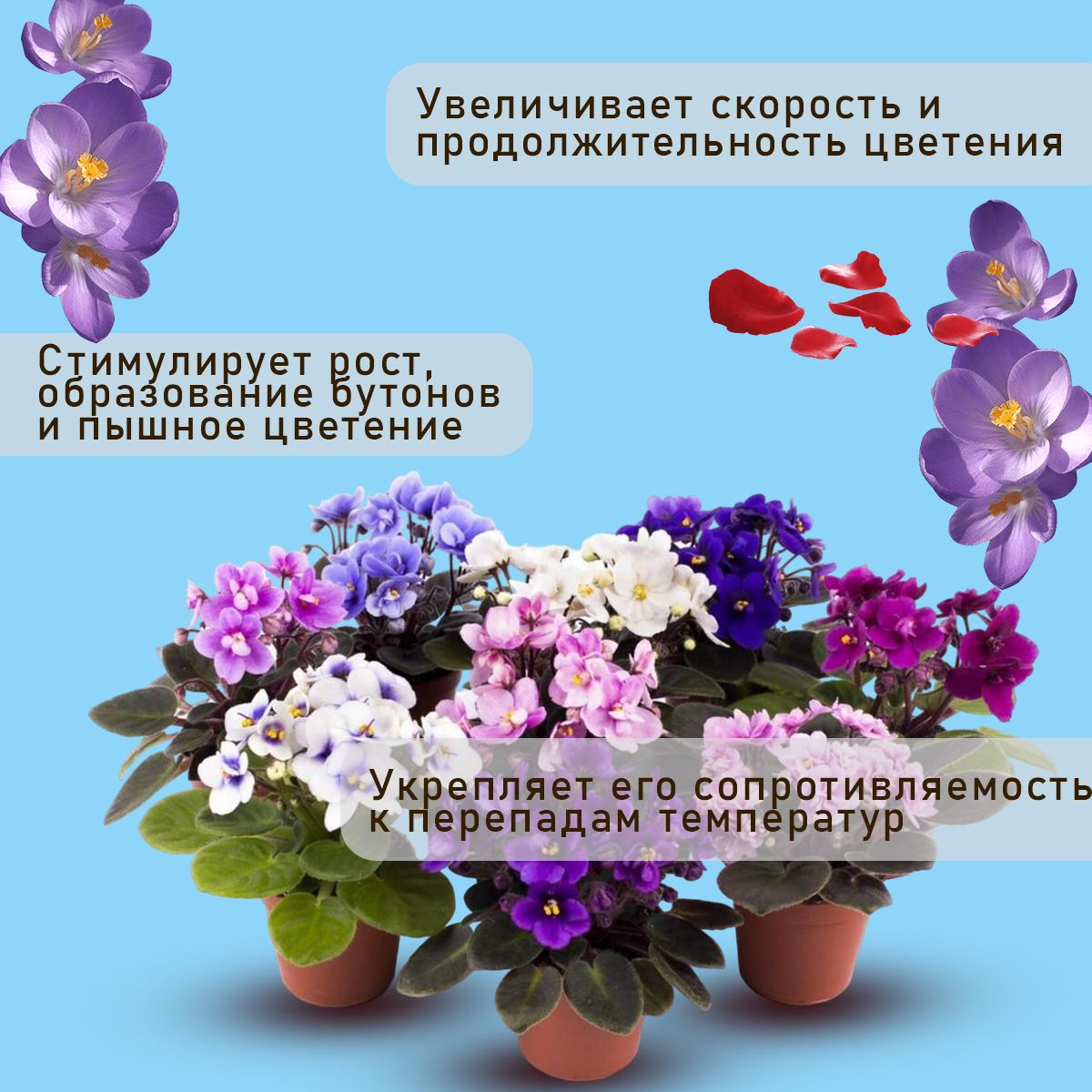 Удобрение для комнатных растений - аминокислоты для цветов