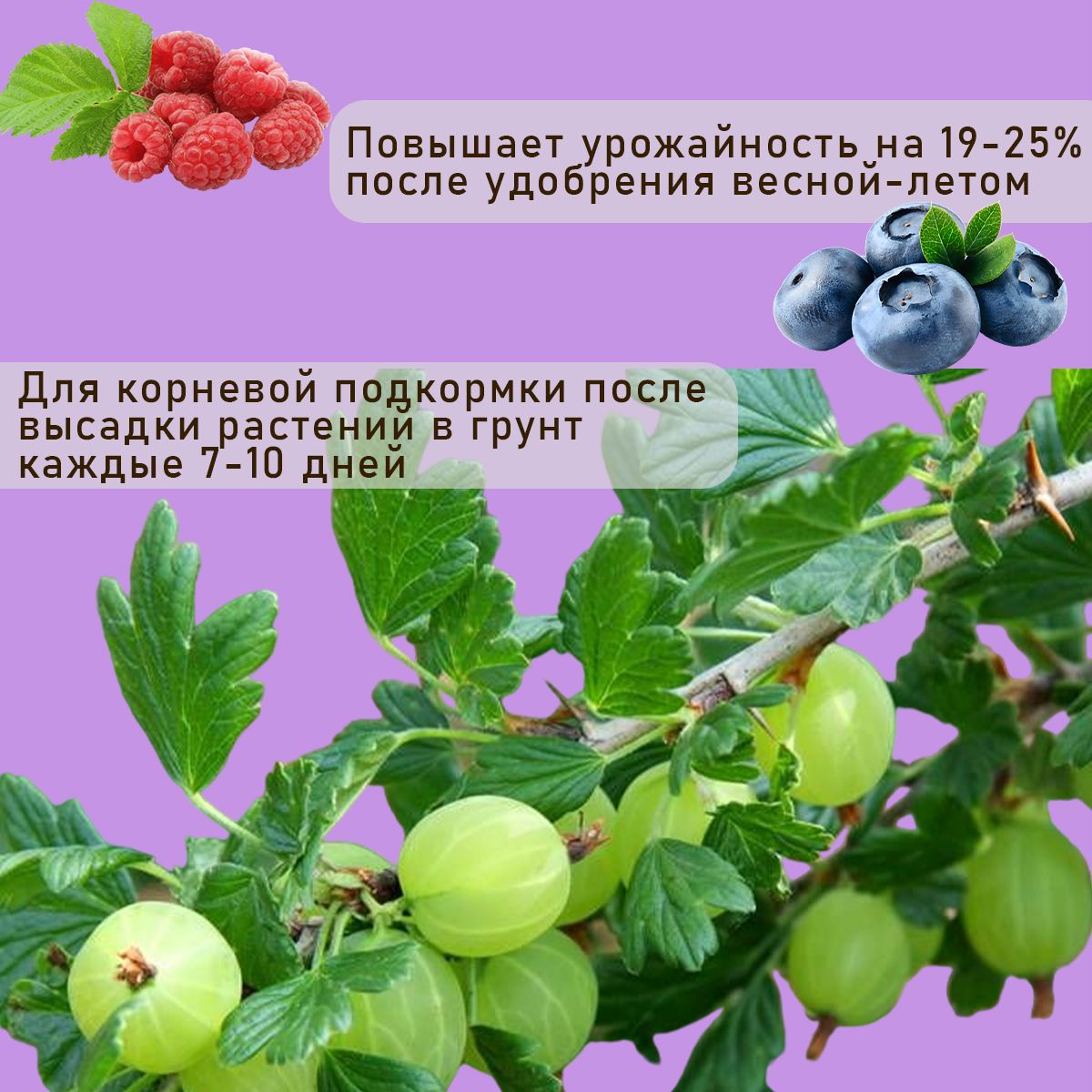 Удобрение "Находка" концентрат для кустарников из торфа на основе гуминовых кислот на 500 литров раствора