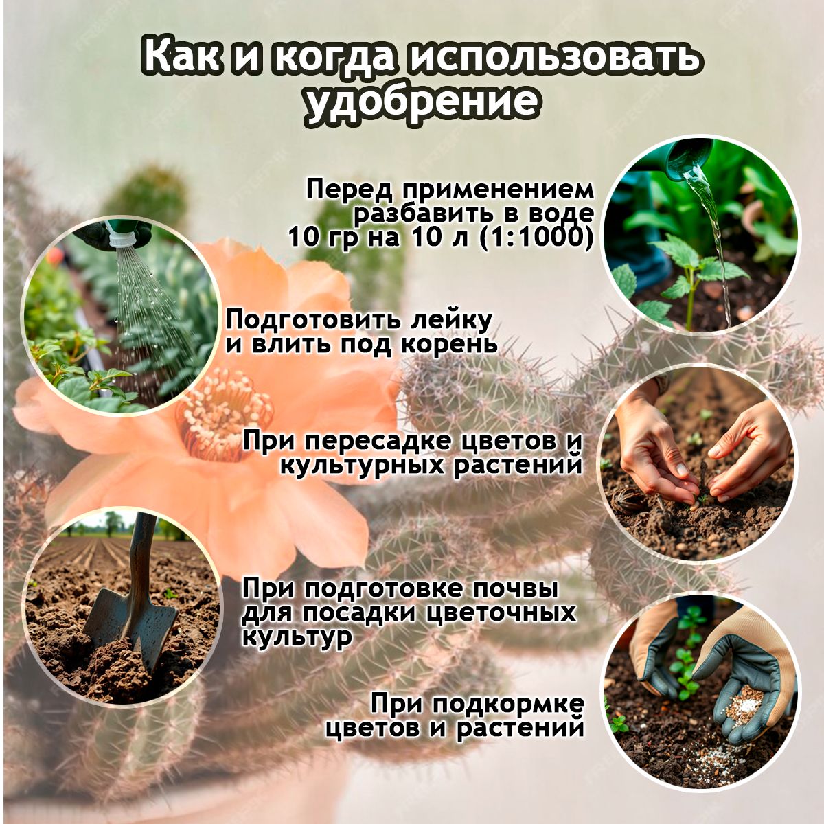 ЭКО Удобрение "Находка" для комнатных цветов: кактусов и суккулентов из торфа на основе гуминовых кислот на 250 литров раствора