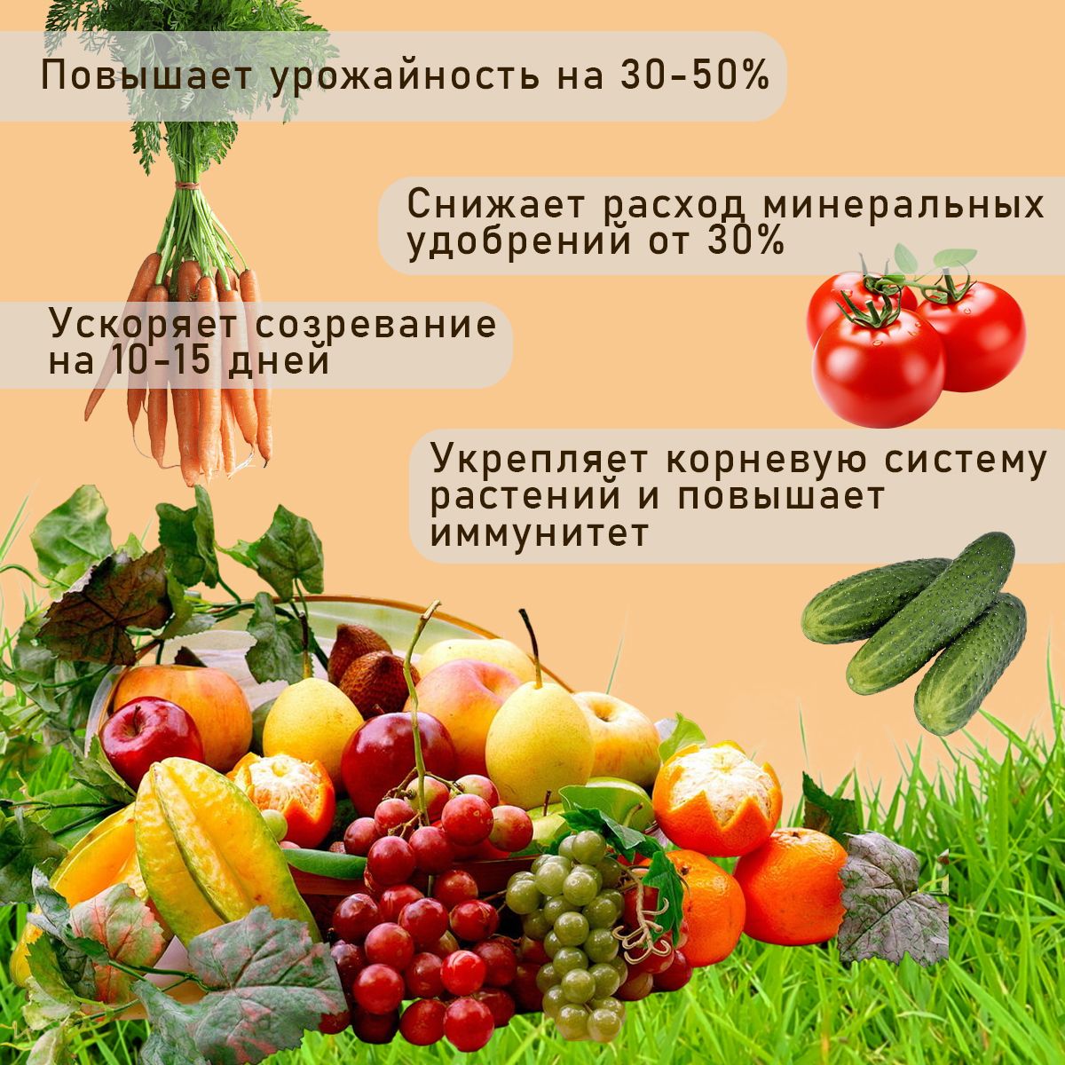 Удобрение "Находка" концентрат универсальное из торфа на основе гуминовых кислот на 750 литров раствора