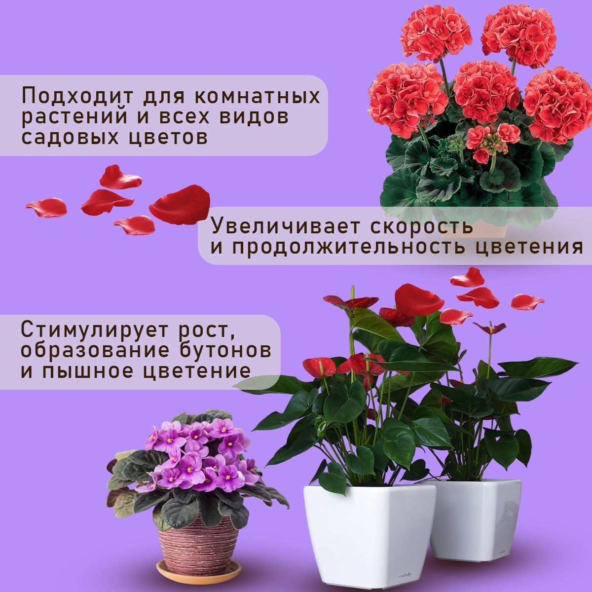 Удобрение "Находка" концентрат для цветов из торфа на основе гуминовых кислот на 750 литров раствора
