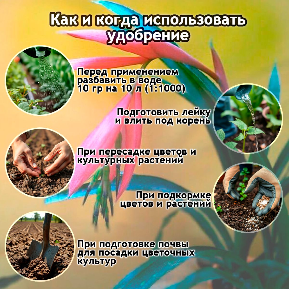 ЭКО Удобрение "Находка" для комнатных цветов: бильбергий, бромелий, гусманий из торфа на основе гуминовых кислот на 250 литров раствора
