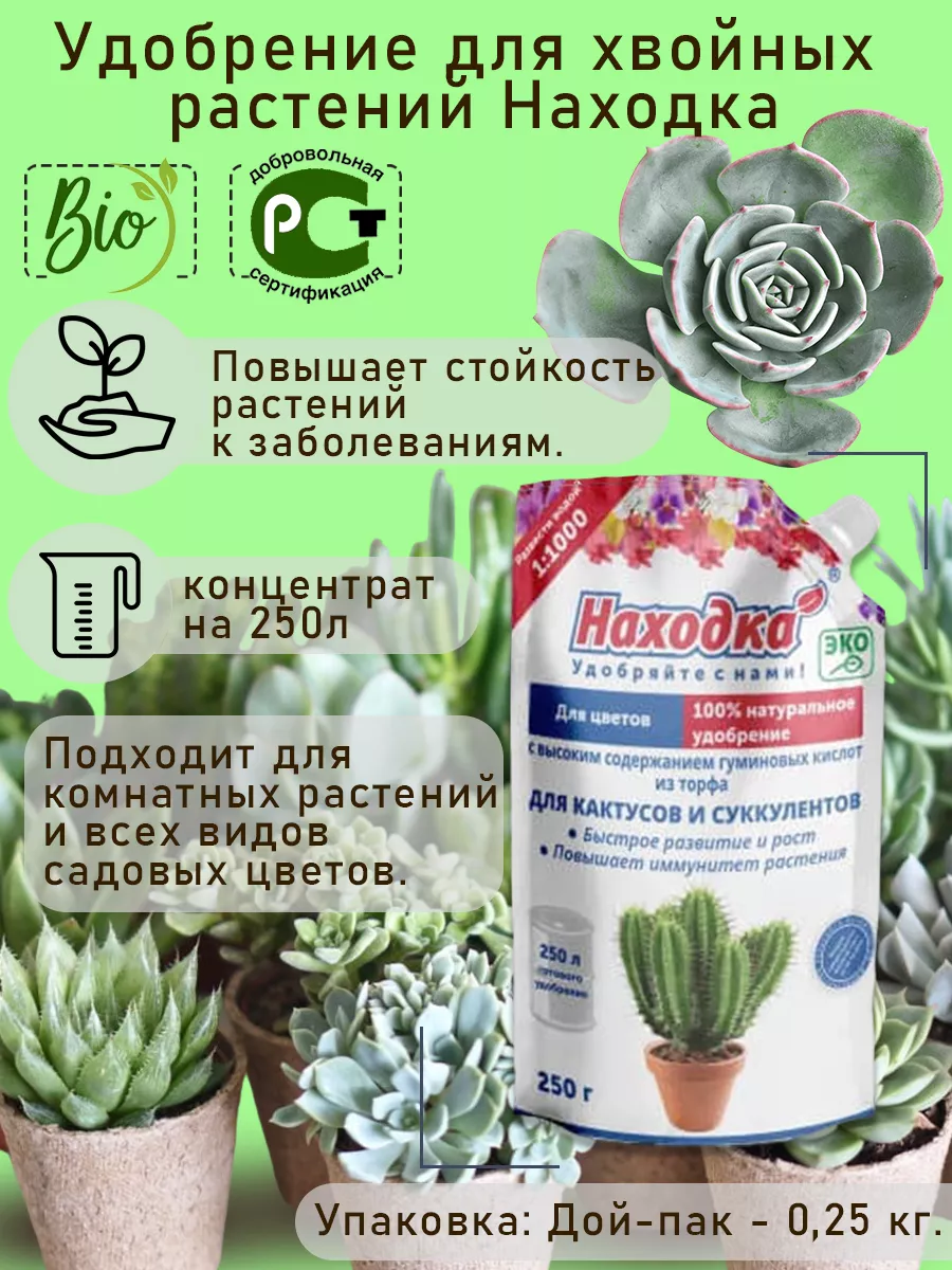 Удобрение-концентрат для кактусов и суккулентов