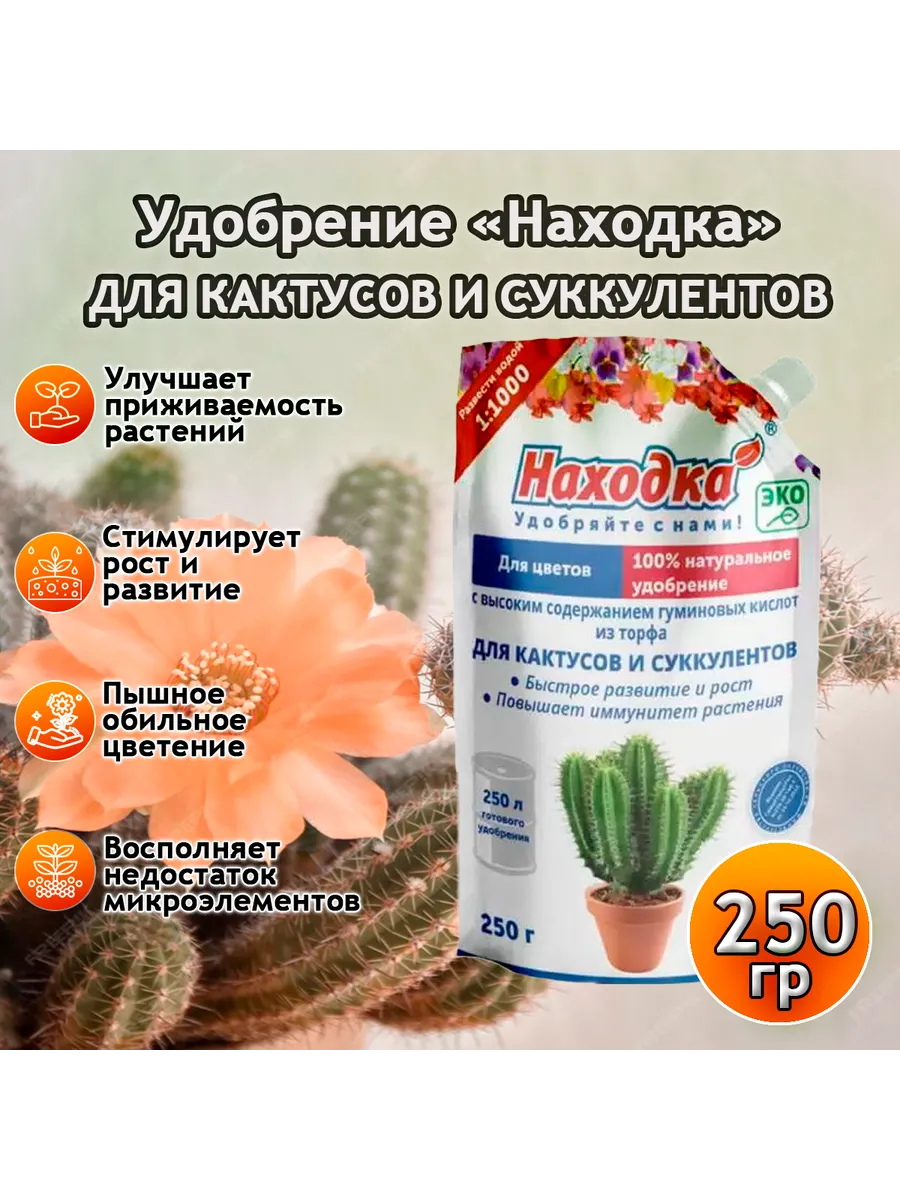 Удобрение-концентрат для кактусов и суккулентов