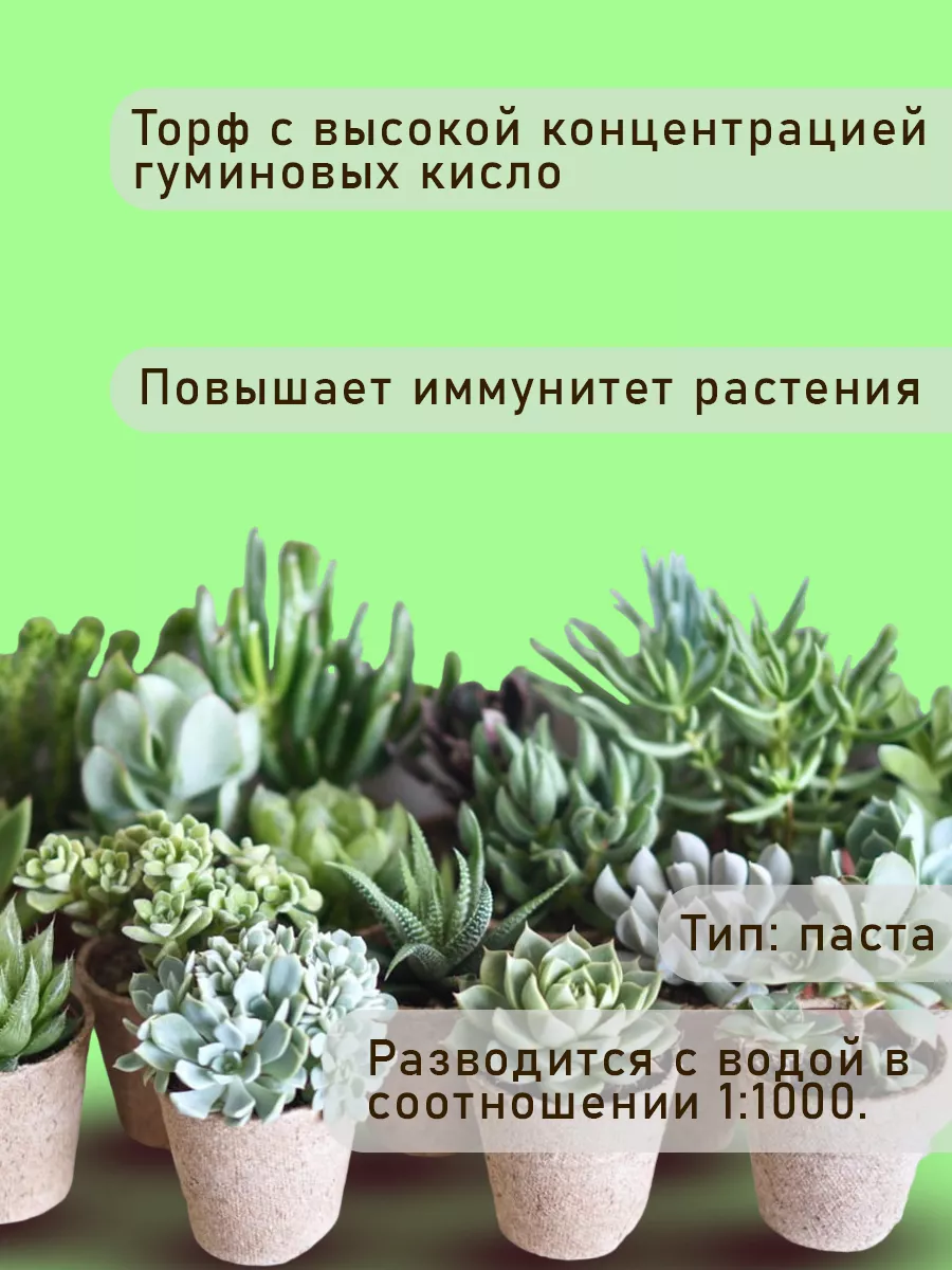 Удобрение-концентрат для кактусов и суккулентов