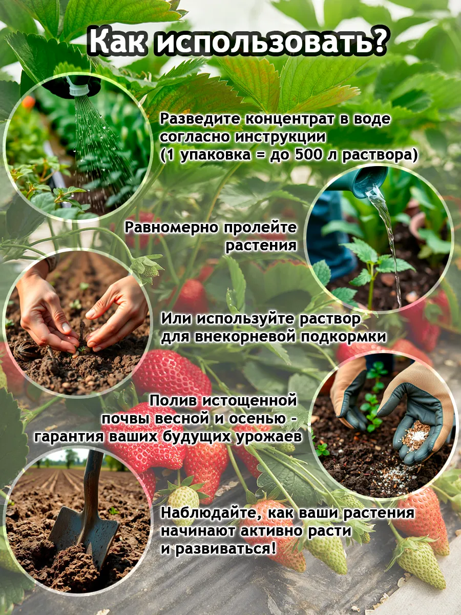 Удобрение-концентрат для клубники
