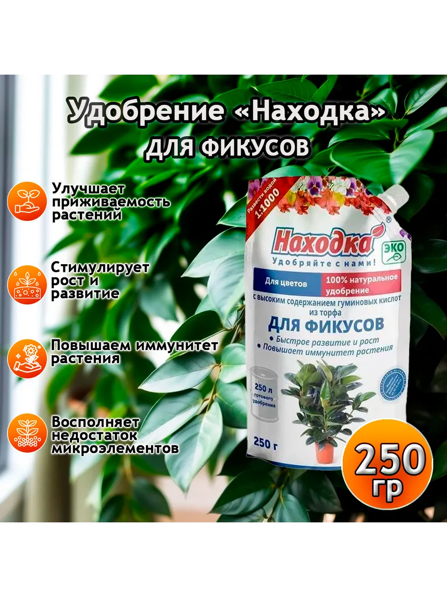 Удобрение комнатное растение - фикус бенджамина , антуриум
