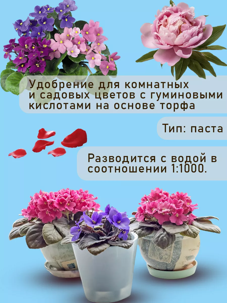 Удобрение для комнатных растений - аминокислоты для цветов