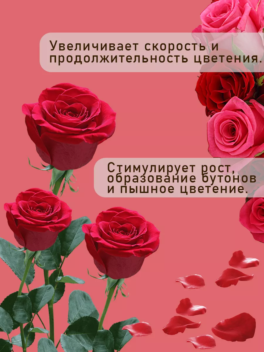 Удобрение для роз садовых и комнатных - подкормка для цветов