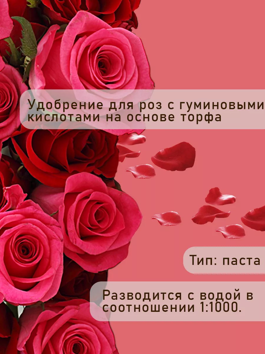 Удобрение для роз садовых и комнатных - подкормка для цветов