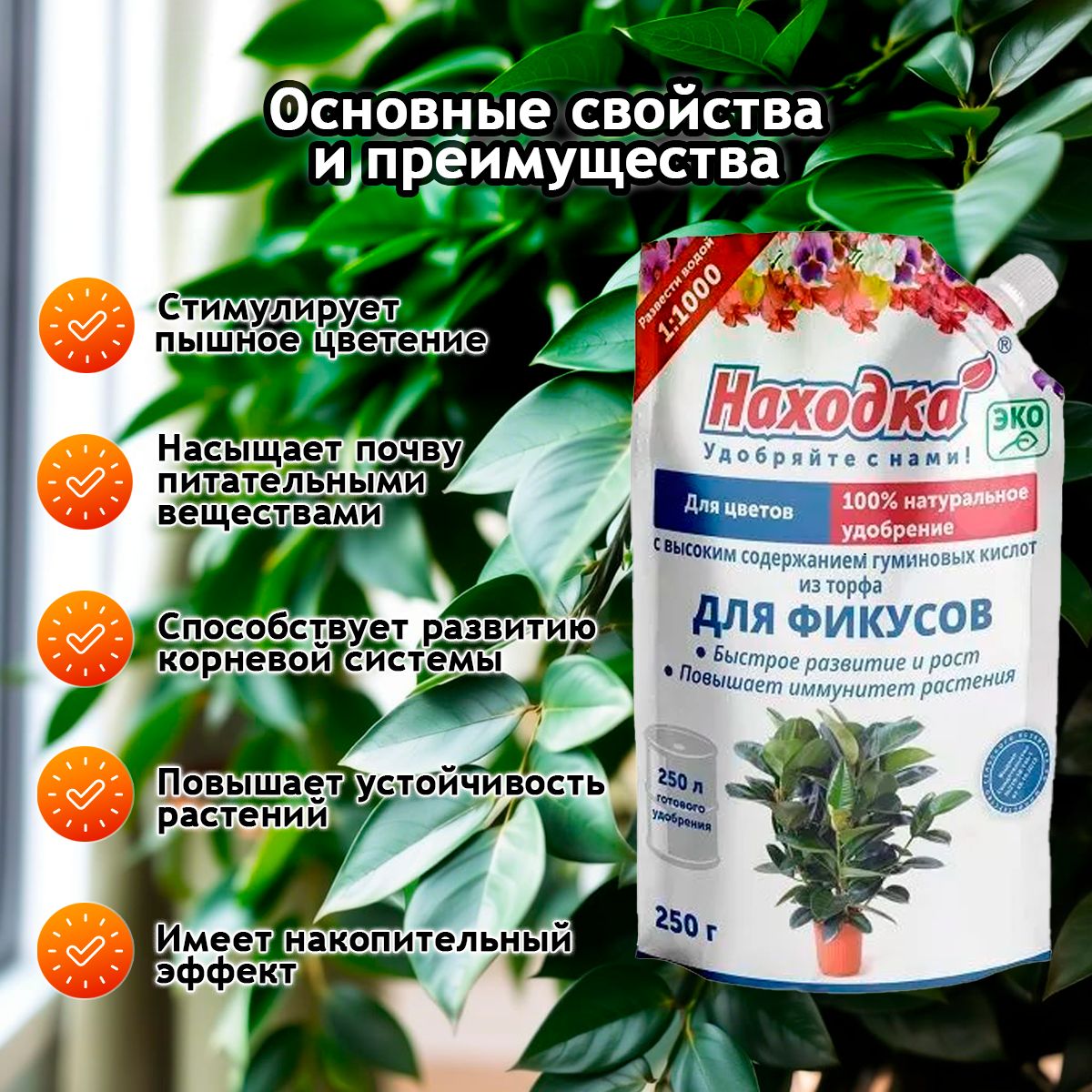 Удобрение комнатное растение - фикус бенджамина , антуриум