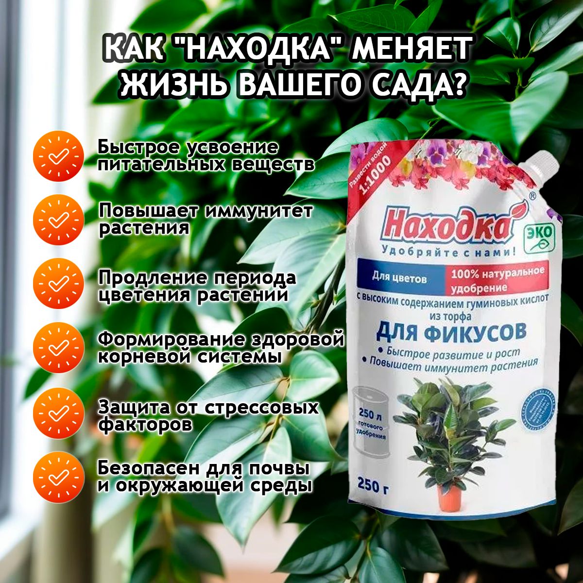 Удобрение комнатное растение - фикус бенджамина , антуриум