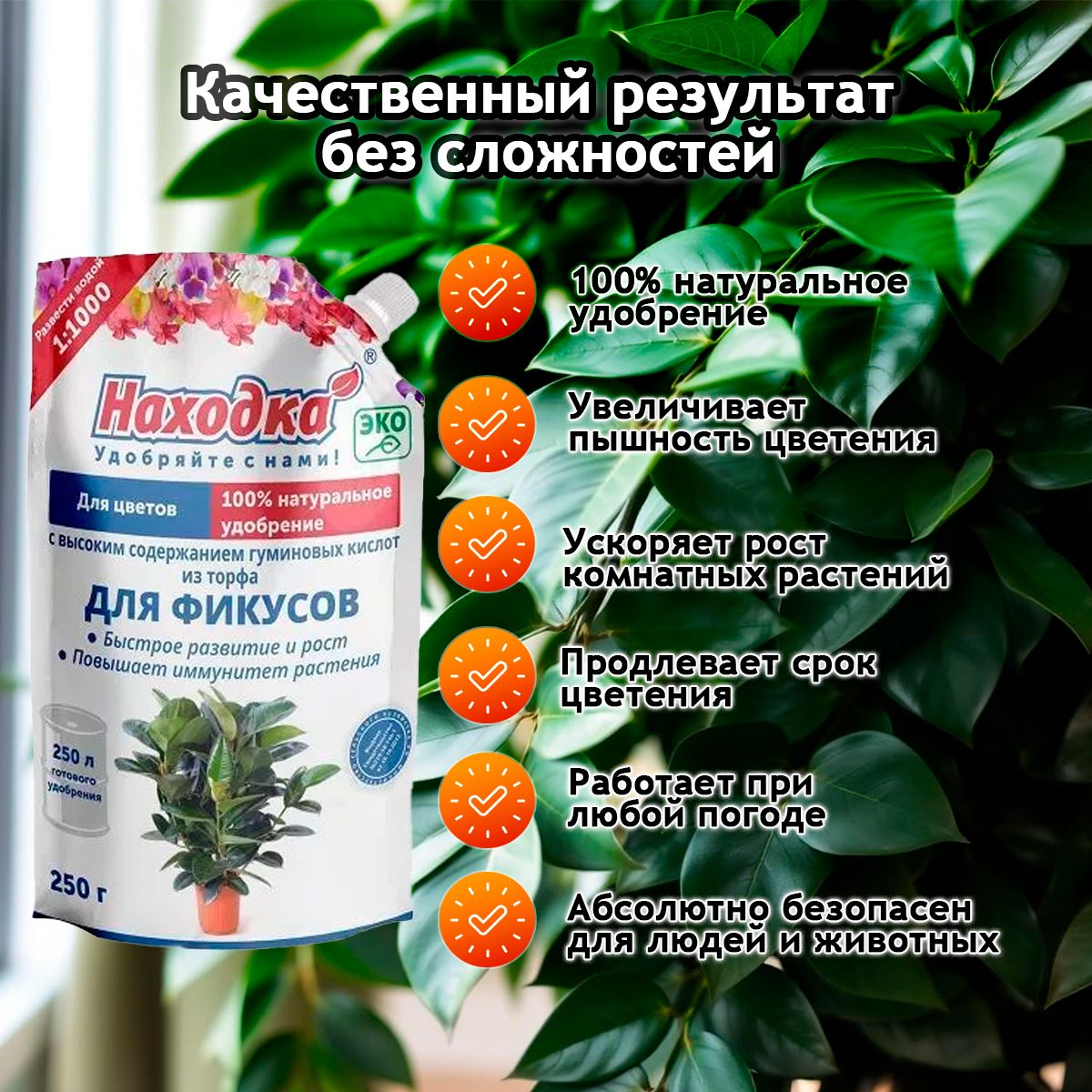 Удобрение комнатное растение - фикус бенджамина , антуриум