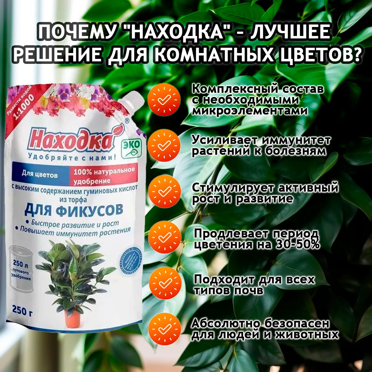 Удобрение комнатное растение - фикус бенджамина , антуриум