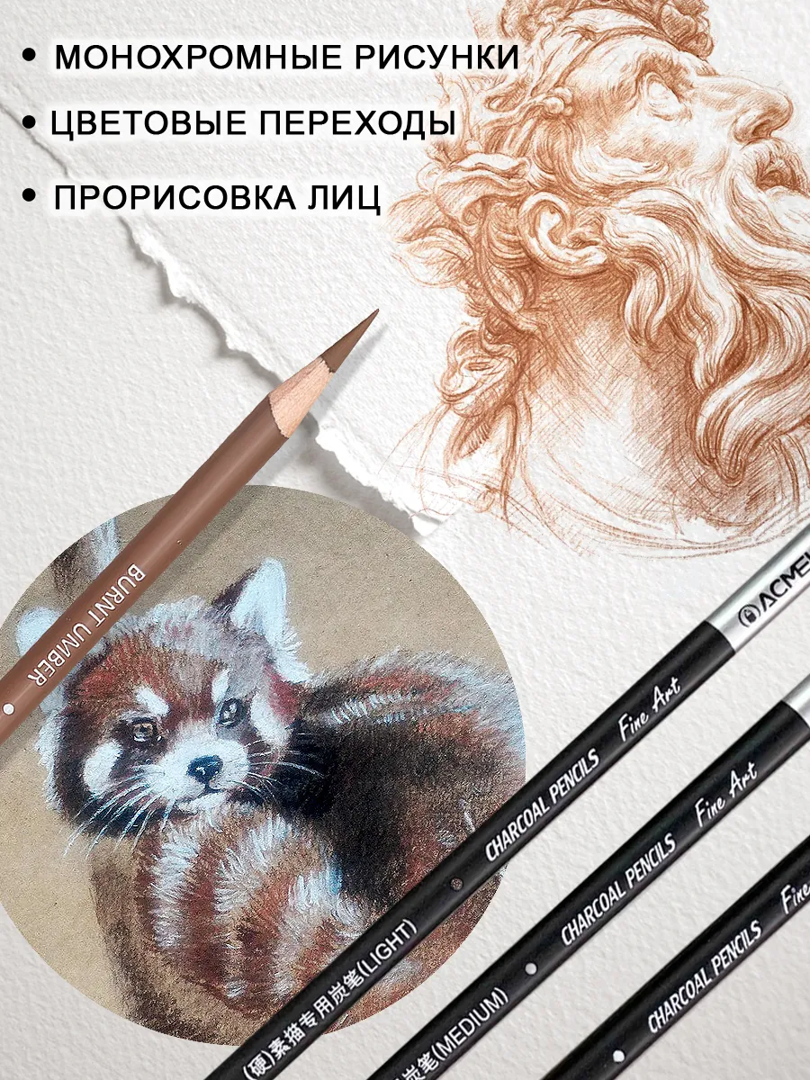 Угольные карандаши 6шт черный, белый, жженая сиена умбра