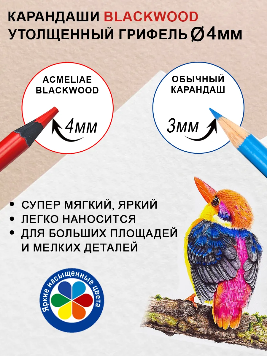 Цветных двусторонние карандаши 12шт 24цв мягкие