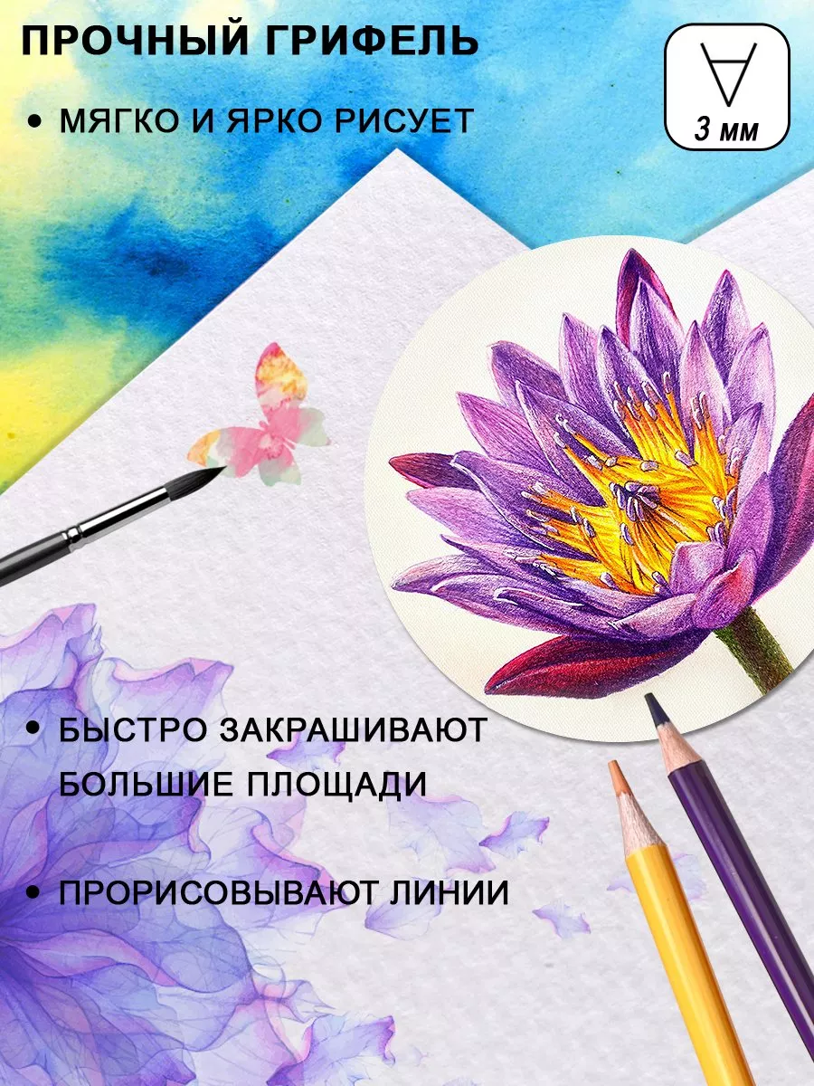 Набор акварельных цветных карандашей 24 цв + кисточка мягкие