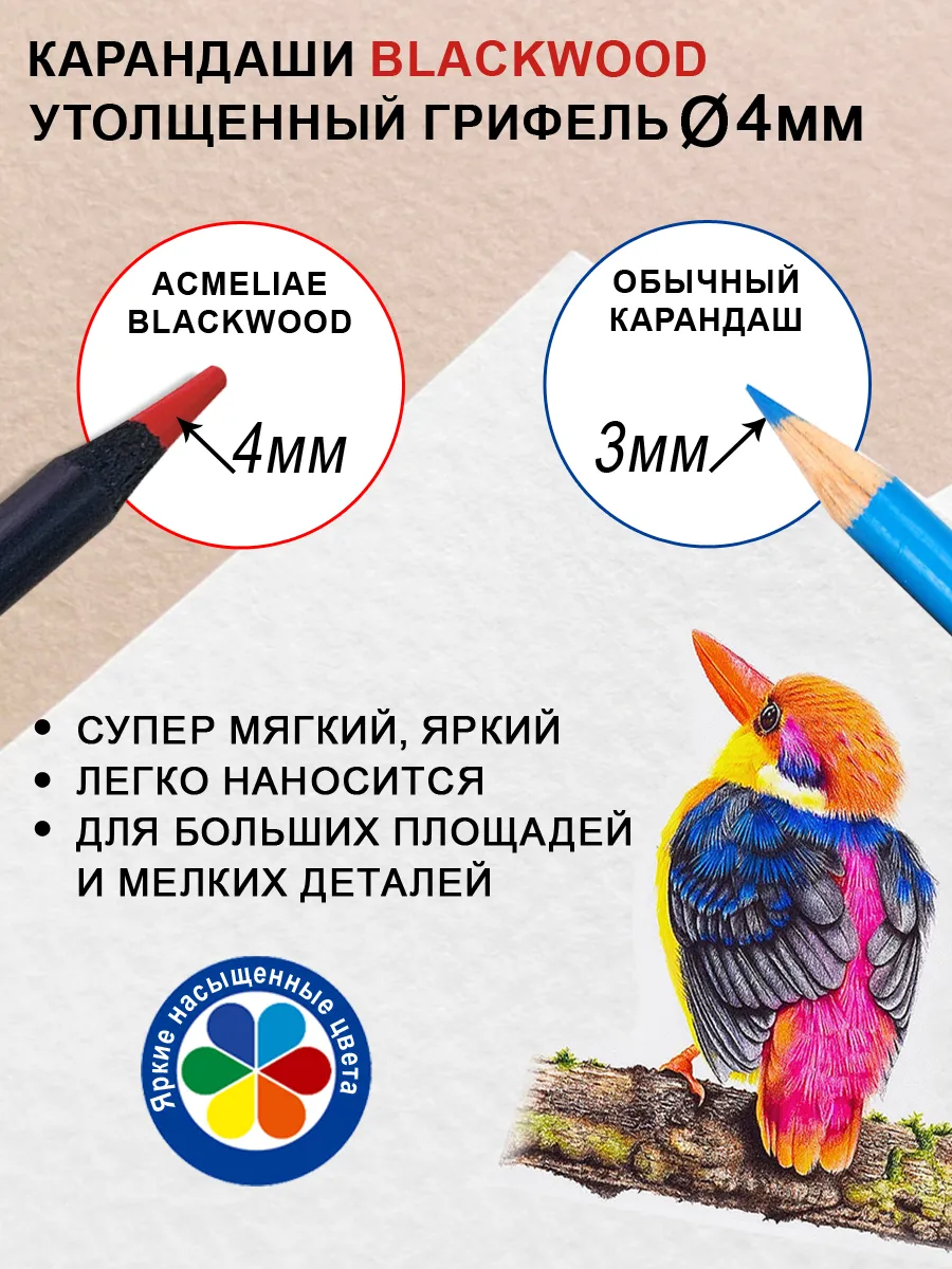 Цветные карандаши 72 цвета мягкие художественные Blackwood
