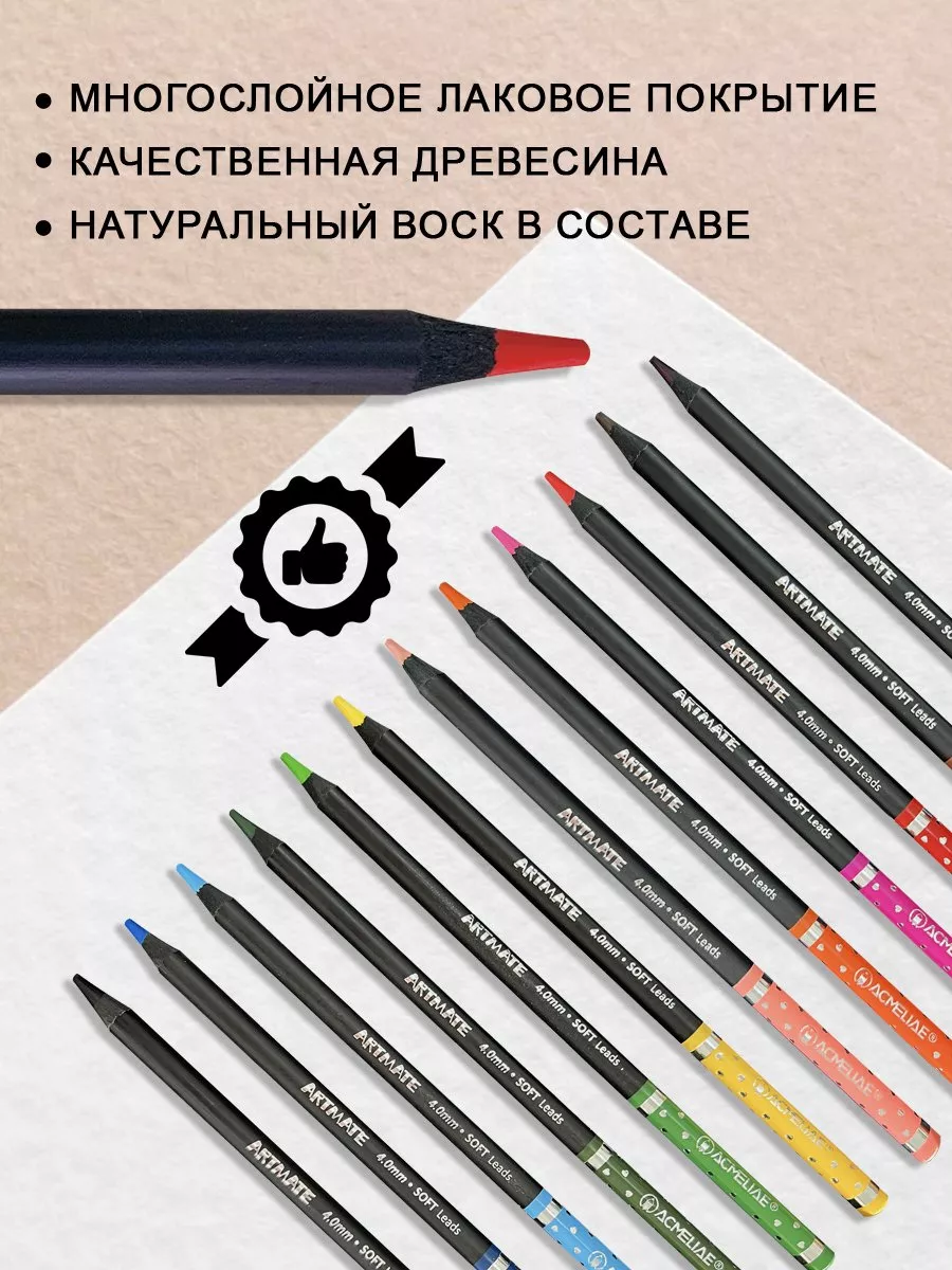Цветные художественные карандаши мягкие 12 цветов Blackwood