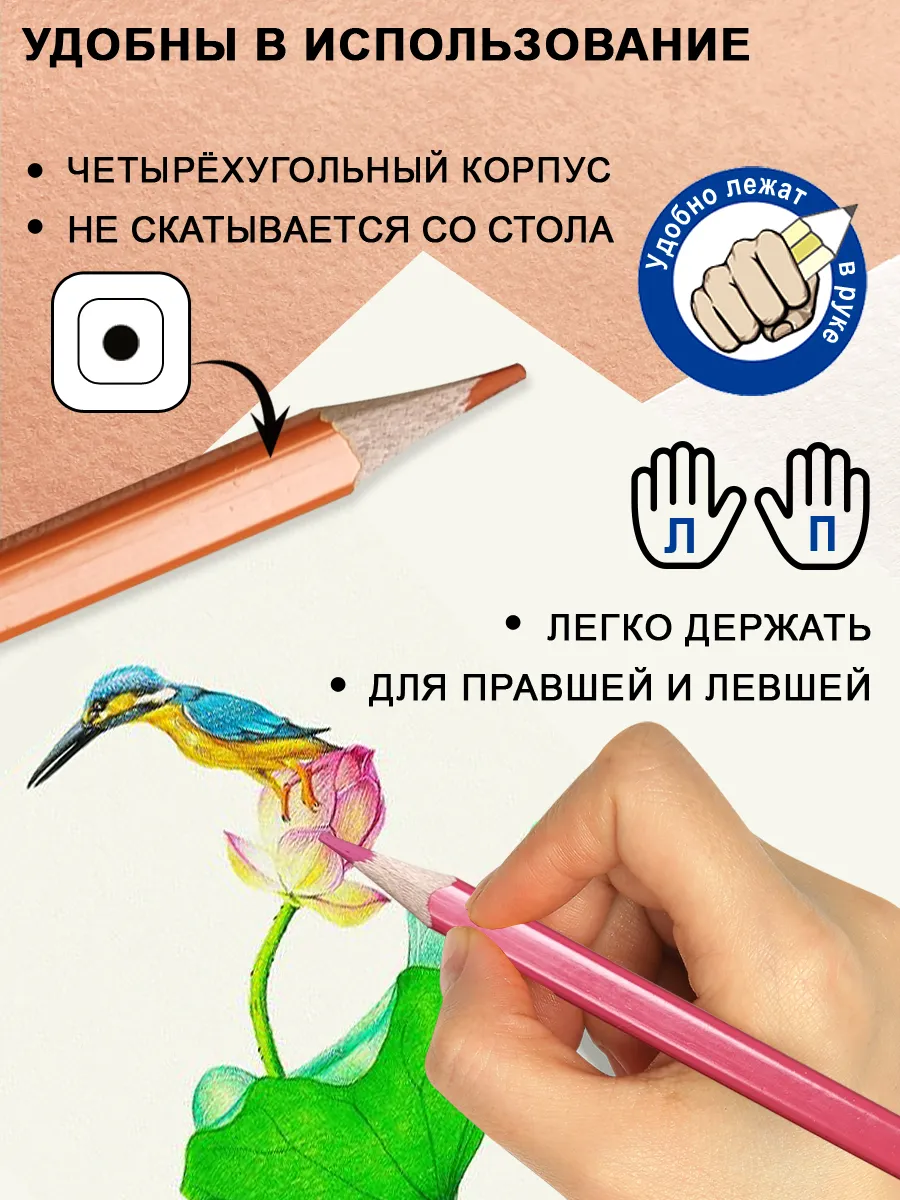 Карандаши цветные 24 цвета
