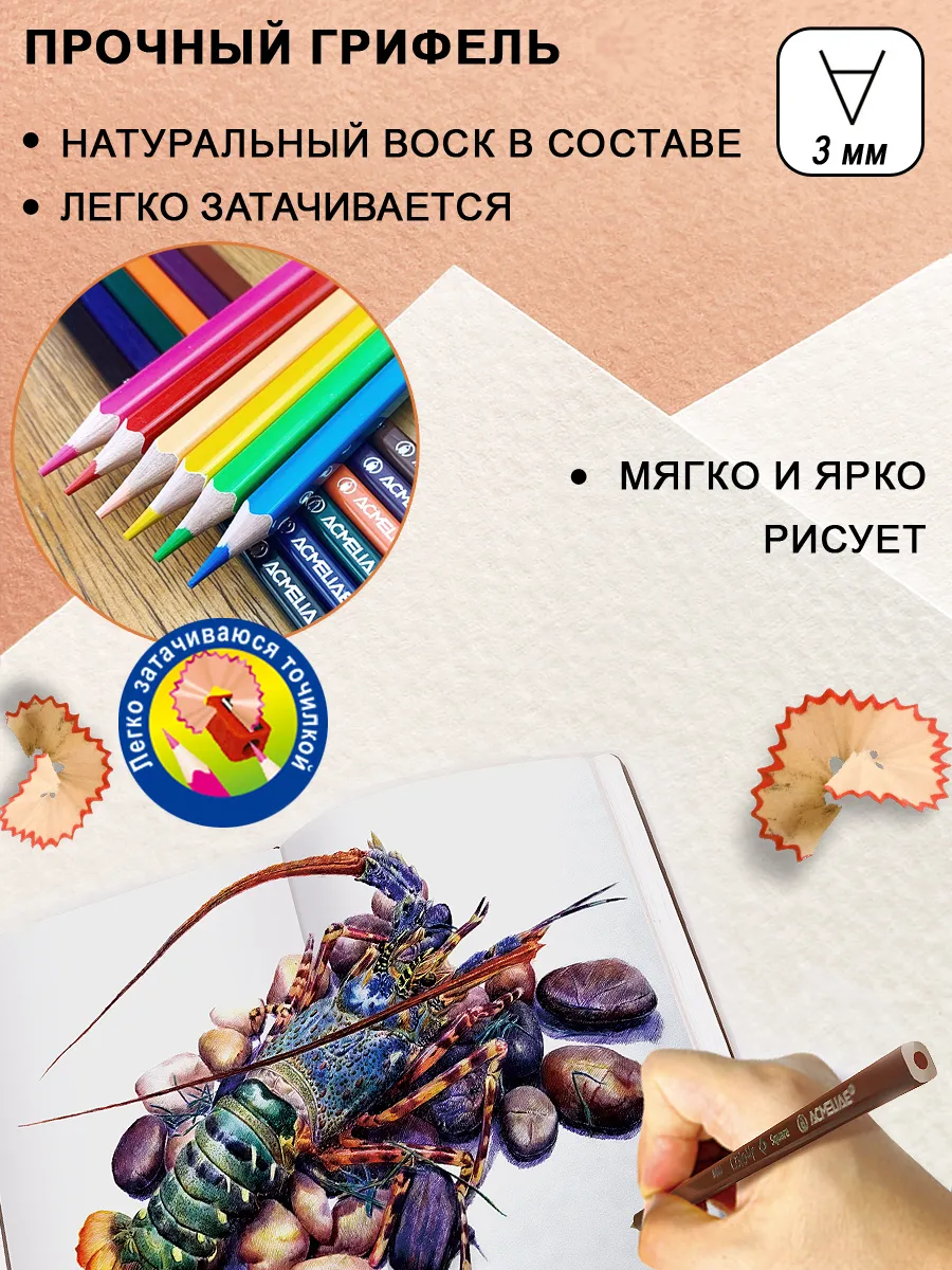 Карандаши цветные 24 цвета
