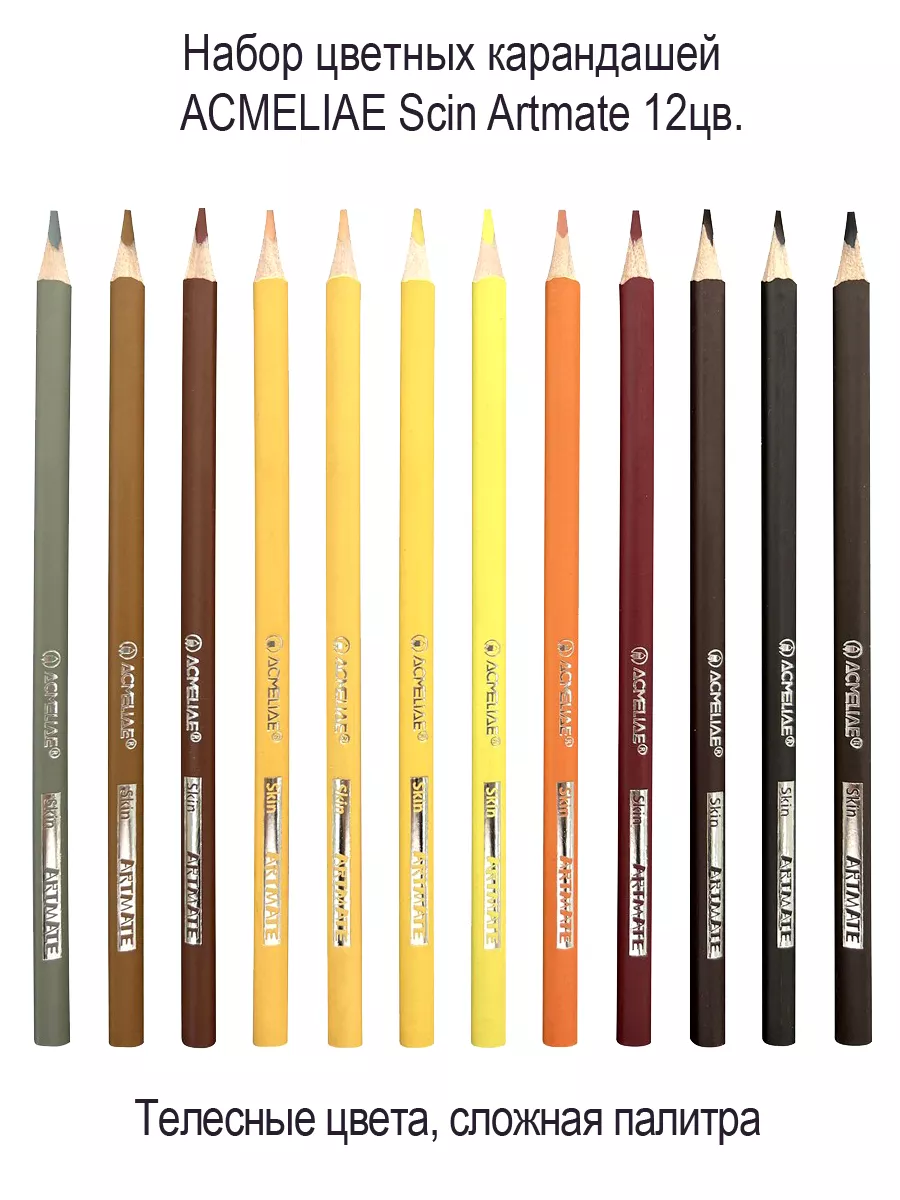 Цветные карандаши телесные мягкие 12 цветов Artmate