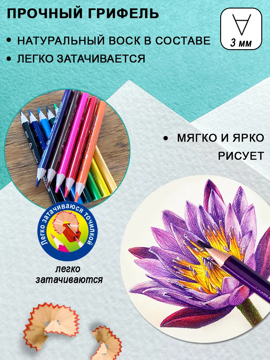 Цветные укороченные карандаши 12 цв мягкие