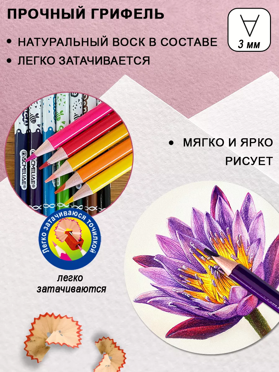Стираемые карандаши цветные с ластиком 24 цвета