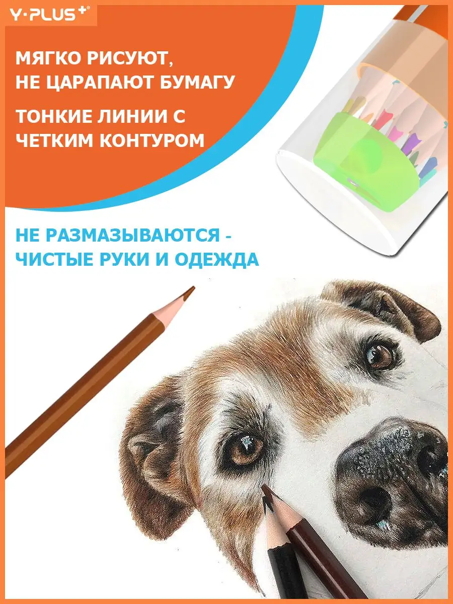 Стираемые карандаши цветные с ластиком 12 цветов пластиковые