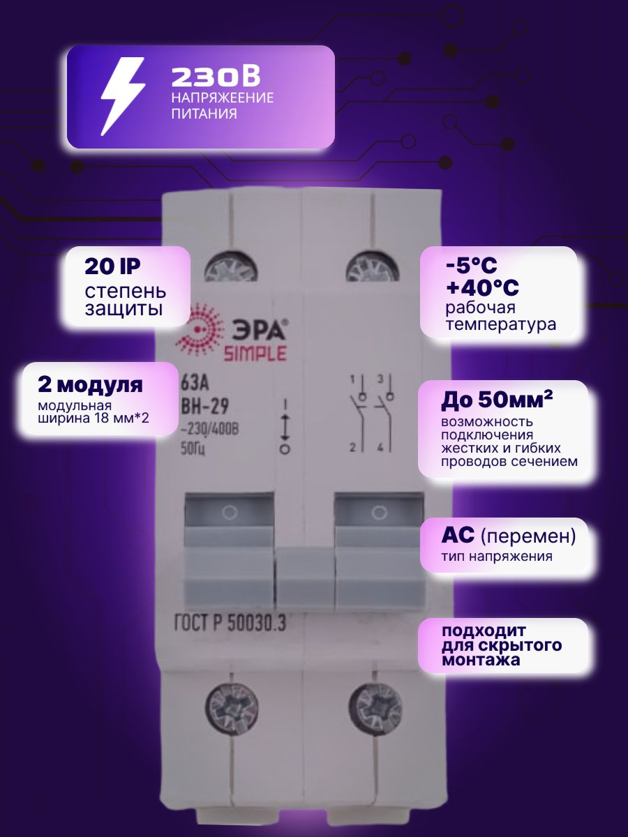 Выключатель нагрузки рубильник 2P (2п) 63А ВН-29 SIMPLE-mod-62 ЭРА Б0039252