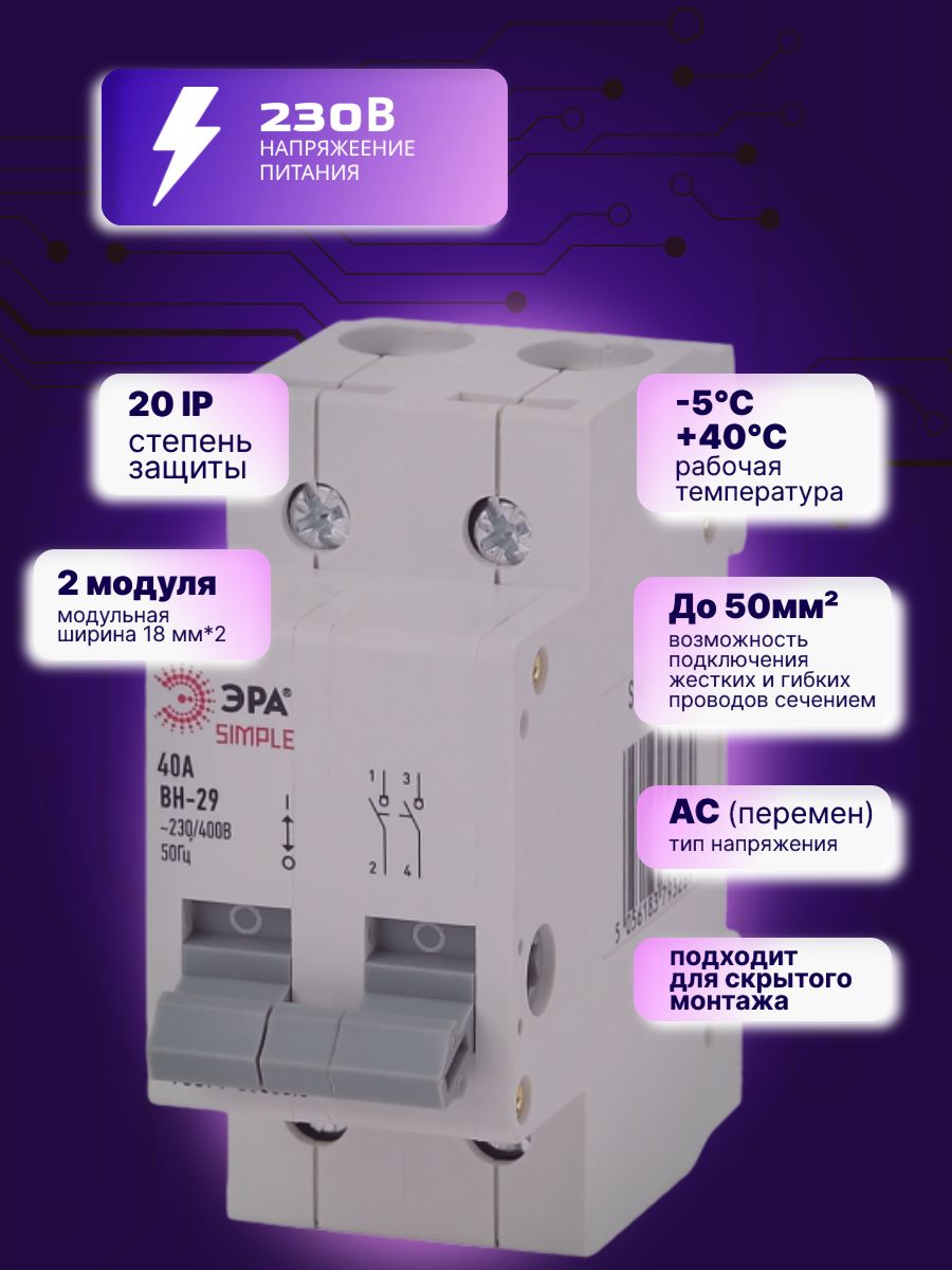 Выключатель нагрузки рубильник 2P (2п) 40А ВН-29 SIMPLE-mod-61 ЭРА Б0039251