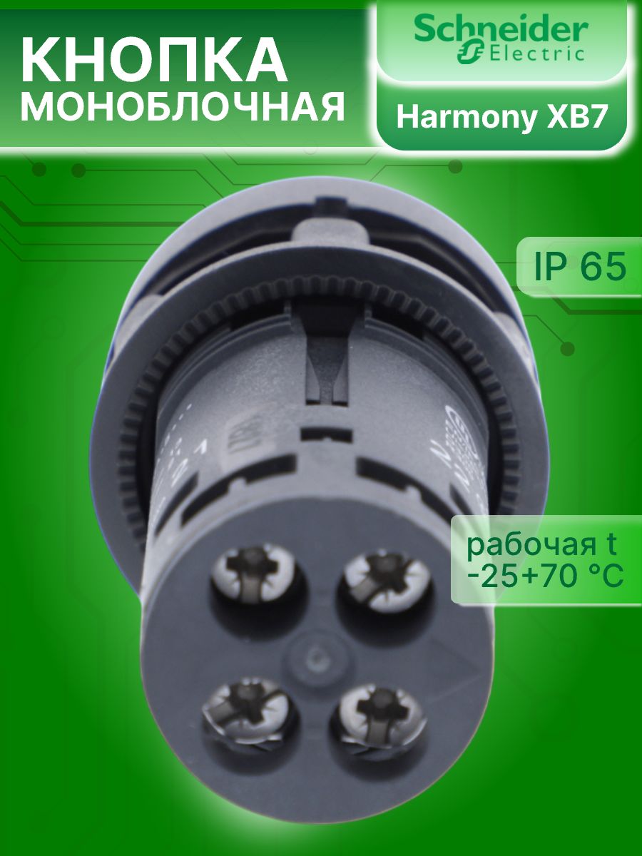 Кнопка управления красная возвратная 22мм 1НО 1НЗ XB7 Schneider Electric XB7NA45