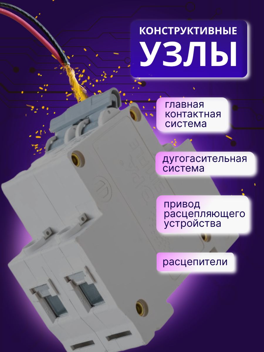 Автоматический выключатель 2P (2П) 10А (С) 4,5кА ВА47-29 SIMPLE-mod-11 Б0039228 ЭРА 6шт